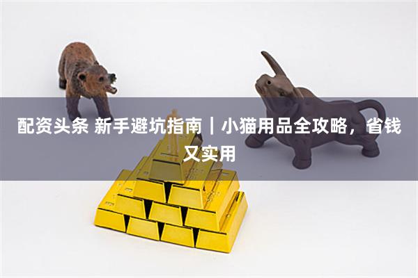 配资头条 新手避坑指南｜小猫用品全攻略，省钱又实用